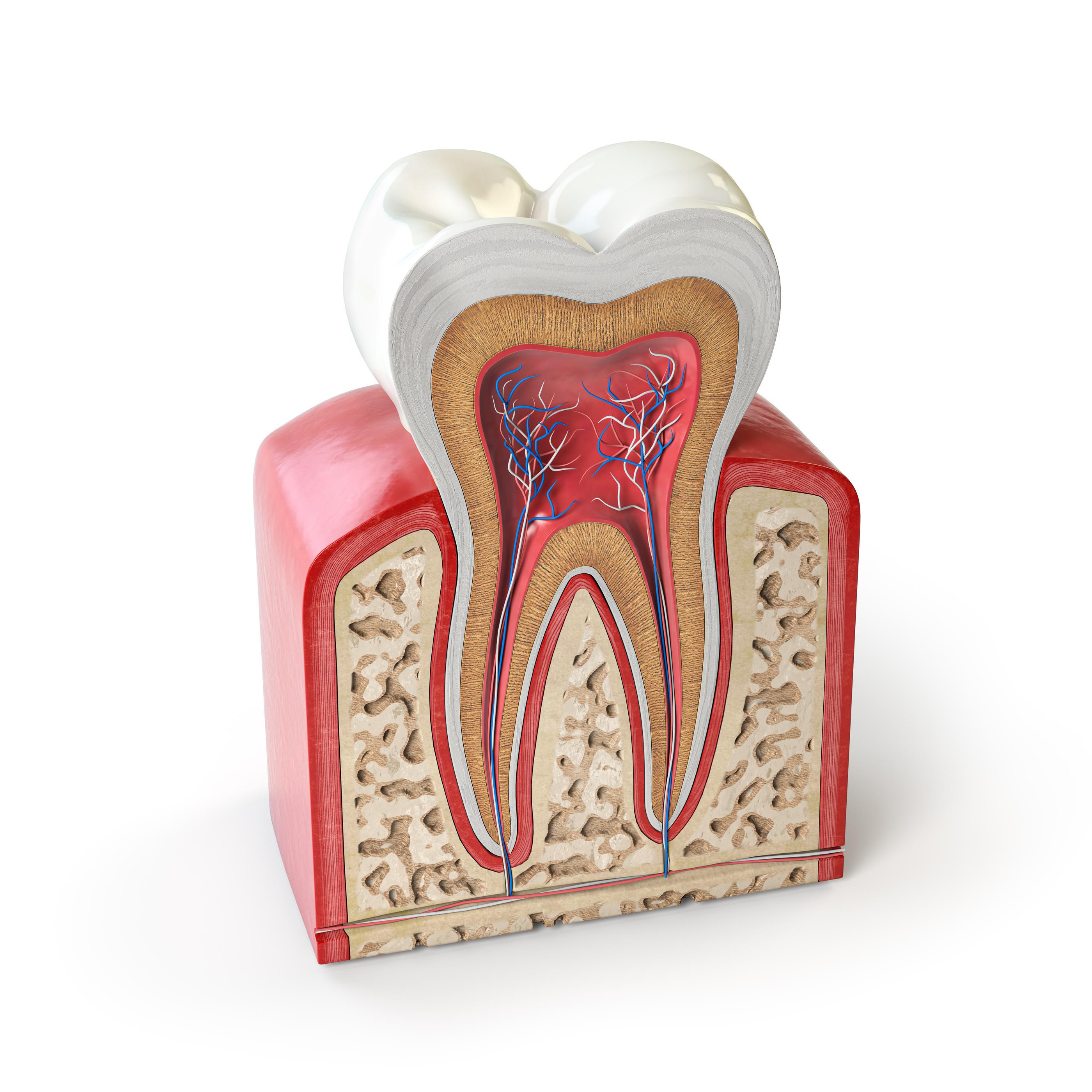 The Importance of Preserving Tooth Structure